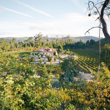 Pedraca Quinta Da Paixao - Bed & Breakfast المظهر الخارجي الصورة