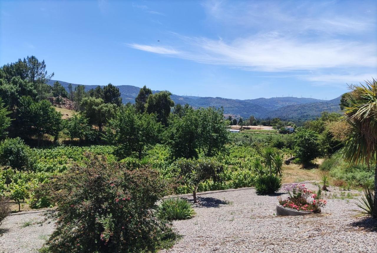 Pedraca Quinta Da Paixao - Bed & Breakfast المظهر الخارجي الصورة