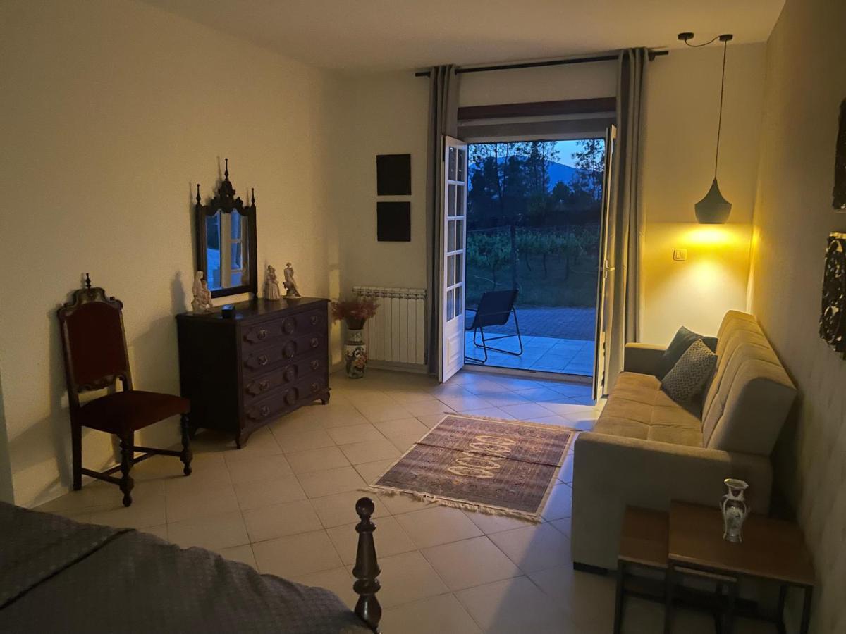 Pedraca Quinta Da Paixao - Bed & Breakfast المظهر الخارجي الصورة